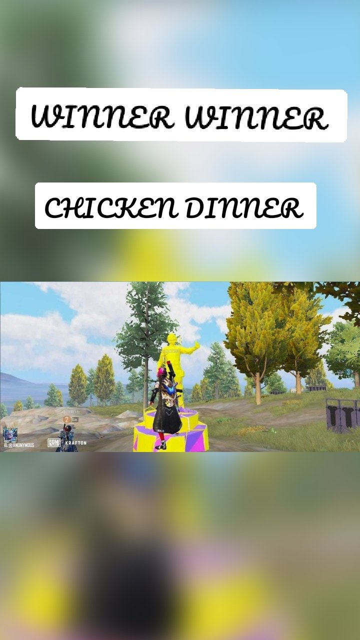WINNER WINNER  CHICKEN DINNER 